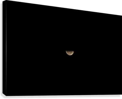 Luna Canvas Print