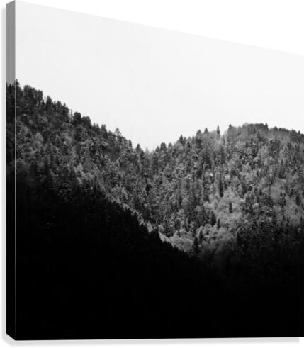 Tripin Swiss Canvas Print