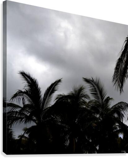 Tropic Canvas Print