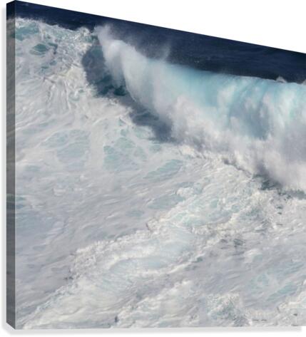 Sea  Canvas Print