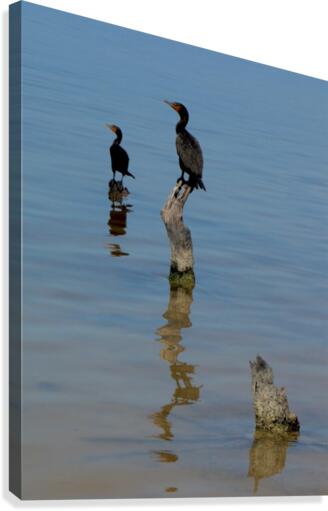 Trip in Mexico Canvas Print