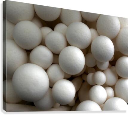 Bubbles Canvas Print