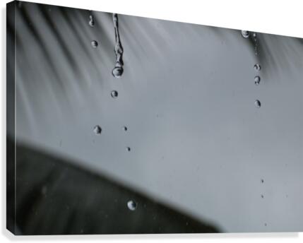 Trip in Mauritius Canvas Print