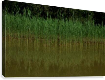 keep it green Canvas Print
