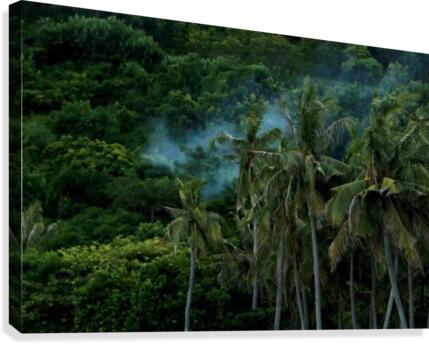 Feu - illes Canvas Print