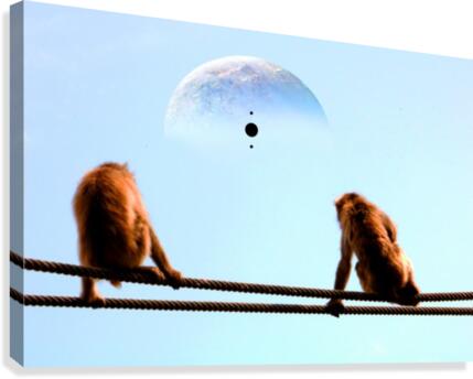 blue moon keys Canvas Print