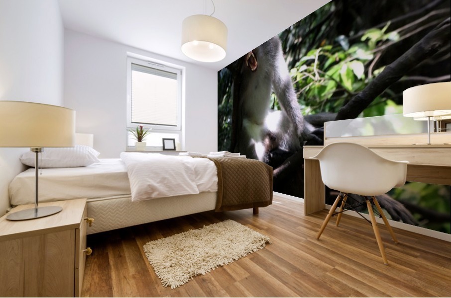 Monkey Forest Mural print