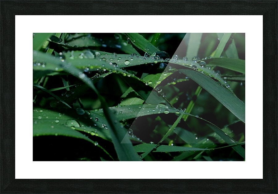 keep it green Picture Frame print
