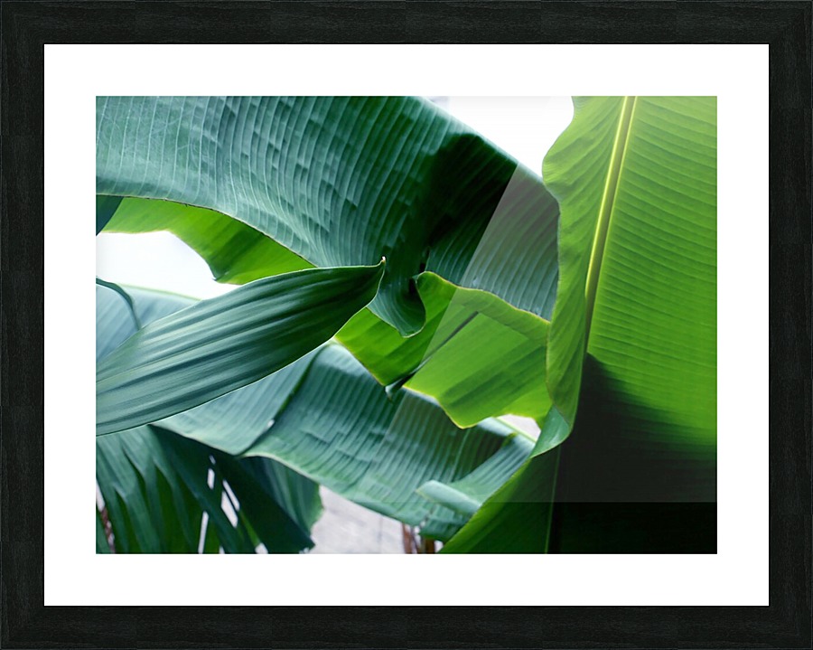 keep it green Picture Frame print