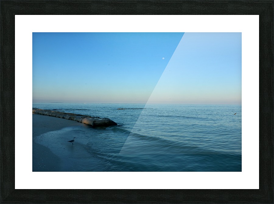 Tripin Picture Frame print