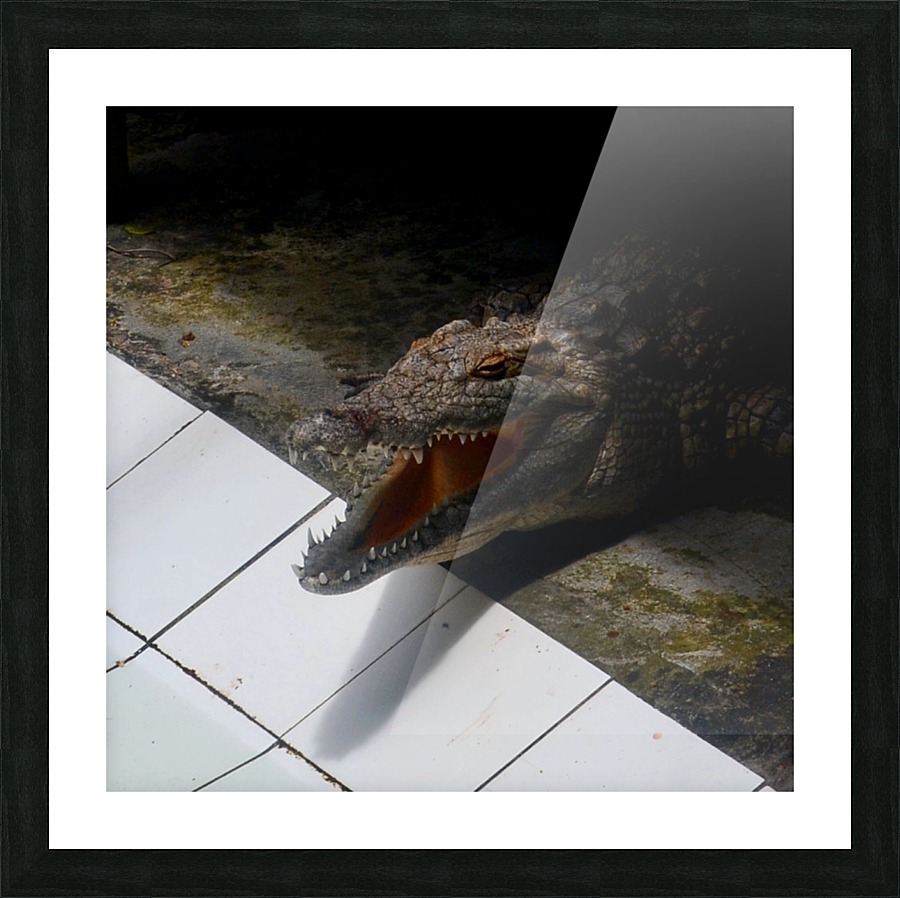 Lacoste Picture Frame print