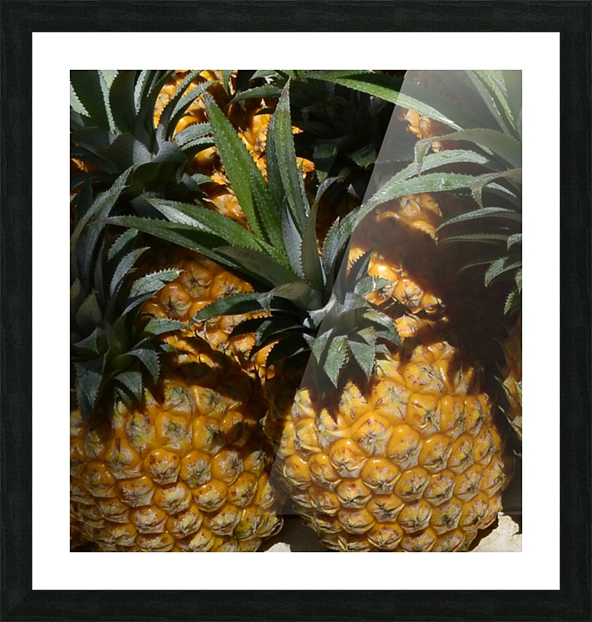 Tropic Picture Frame print