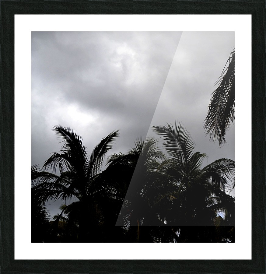 Tropic Picture Frame print