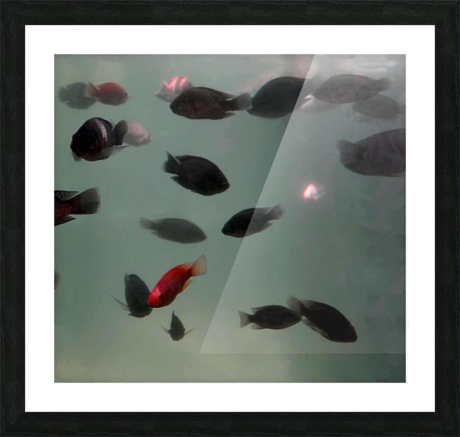 Trip in Mauritius Picture Frame print