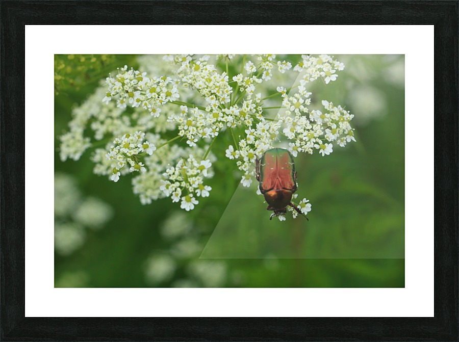 keep it green Picture Frame print