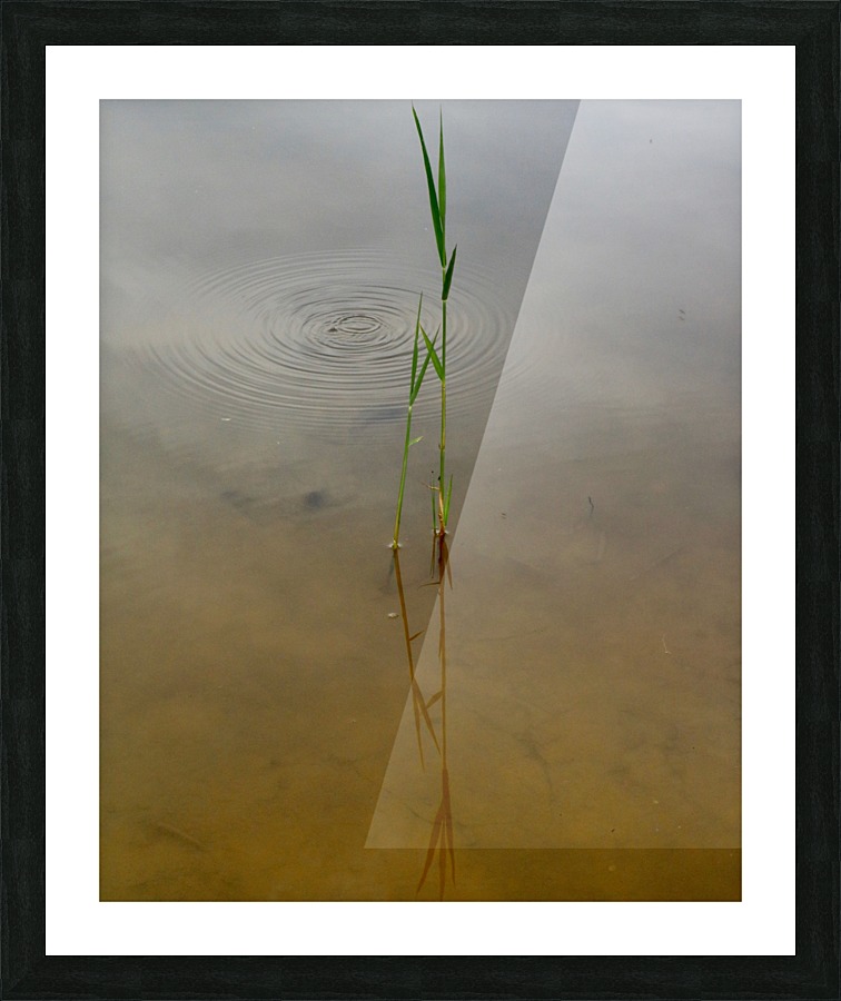 keep it green Picture Frame print