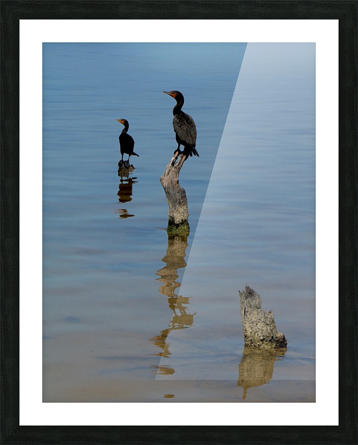 Trip in Mexico Picture Frame print
