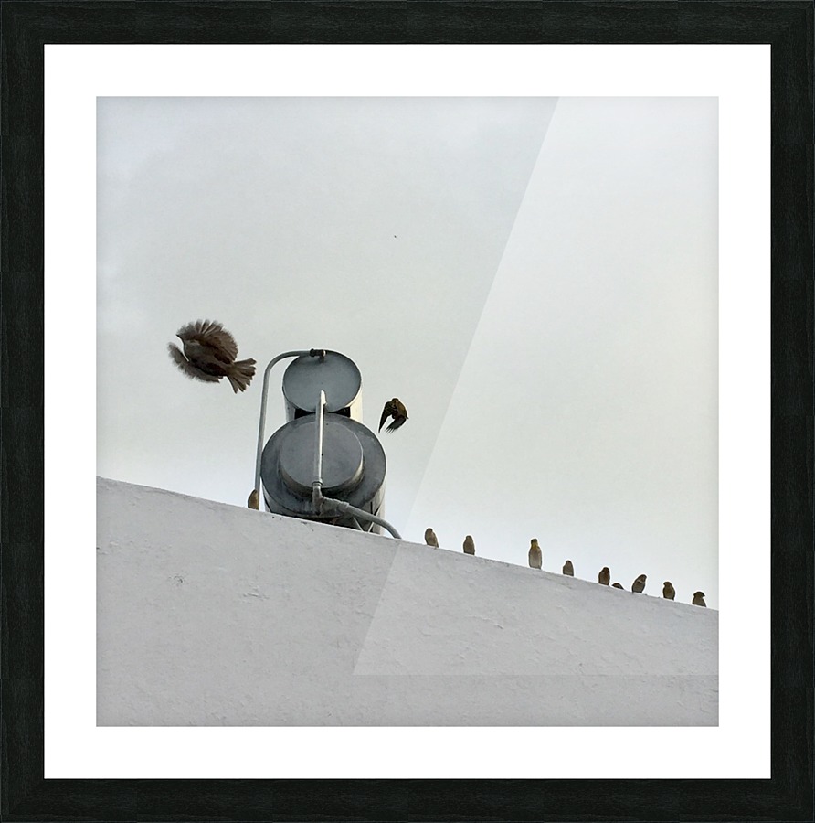 Freedom Picture Frame print