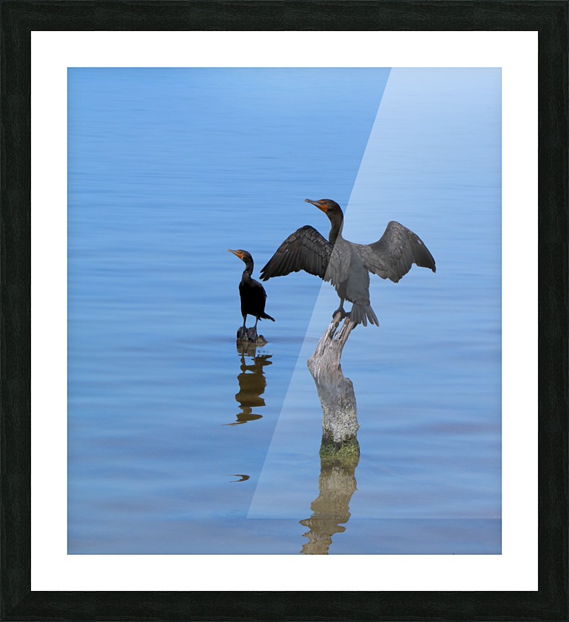 Trip in Mexico Picture Frame print