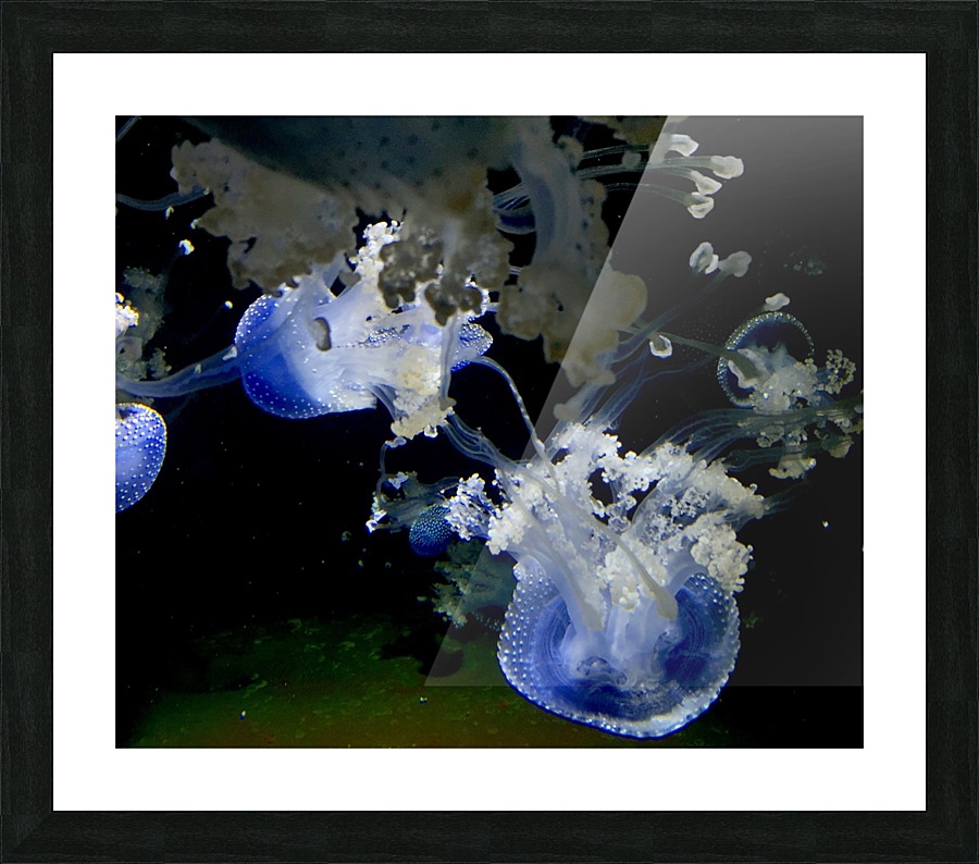 Medusa Picture Frame print