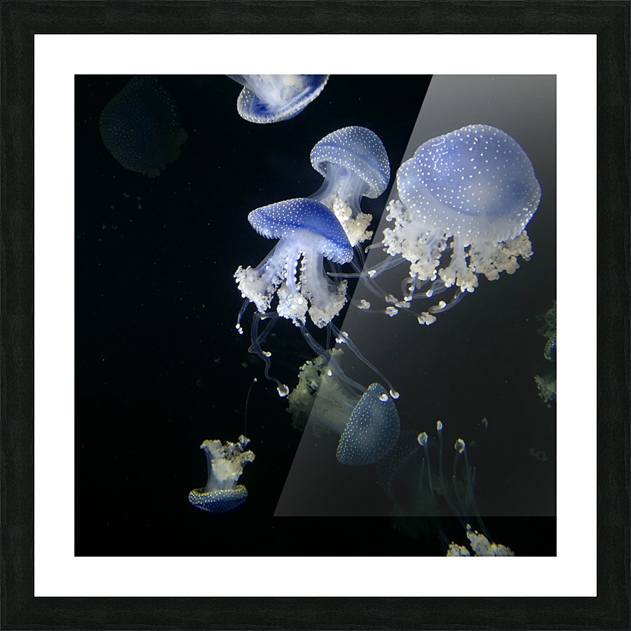 Medusa Picture Frame print