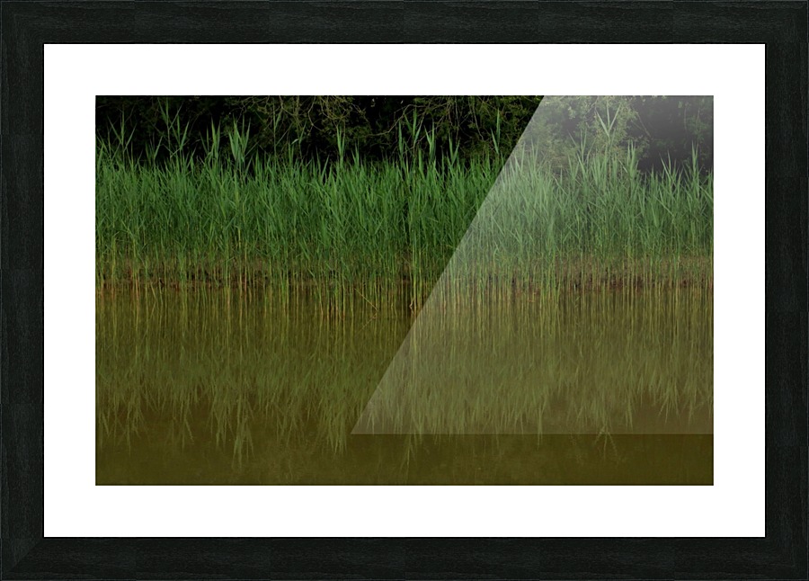 keep it green Picture Frame print