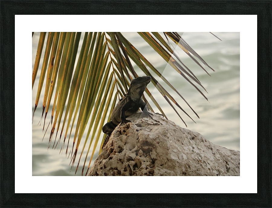 Trip in Mexico Picture Frame print