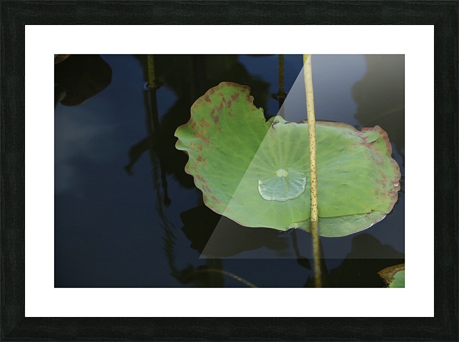 keep it green Picture Frame print