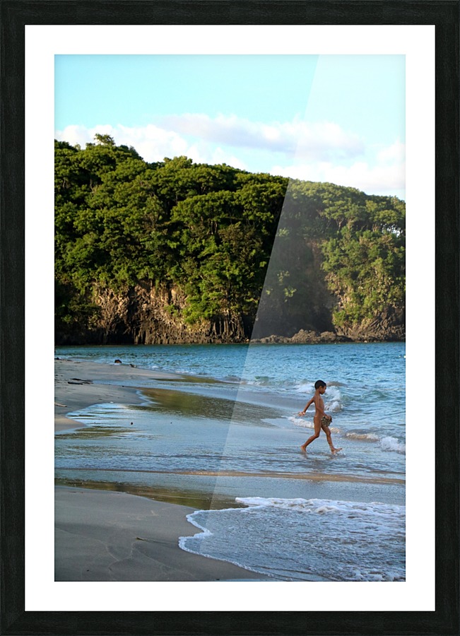 Freedom Picture Frame print