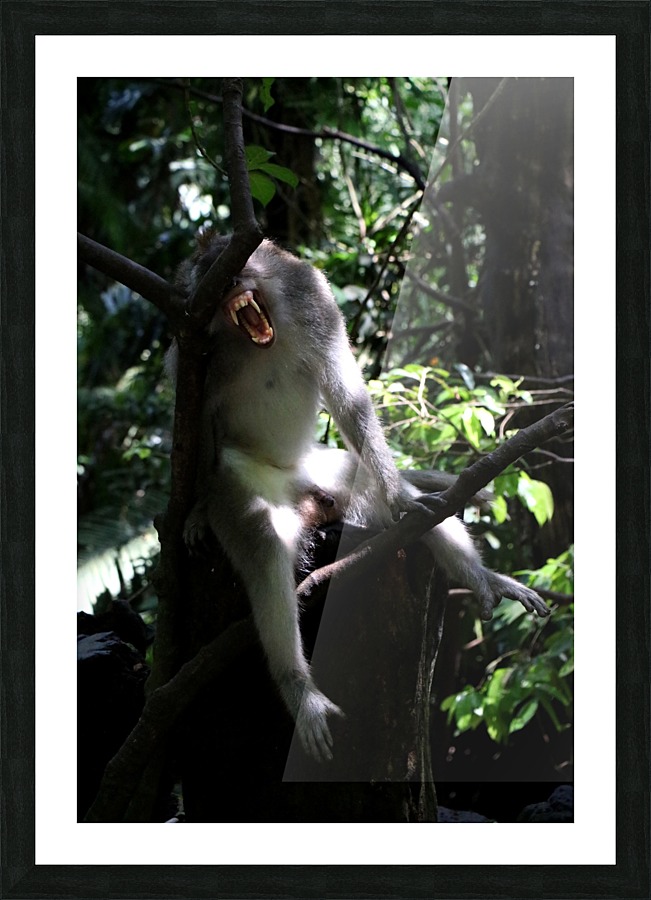Monkey Forest Picture Frame print