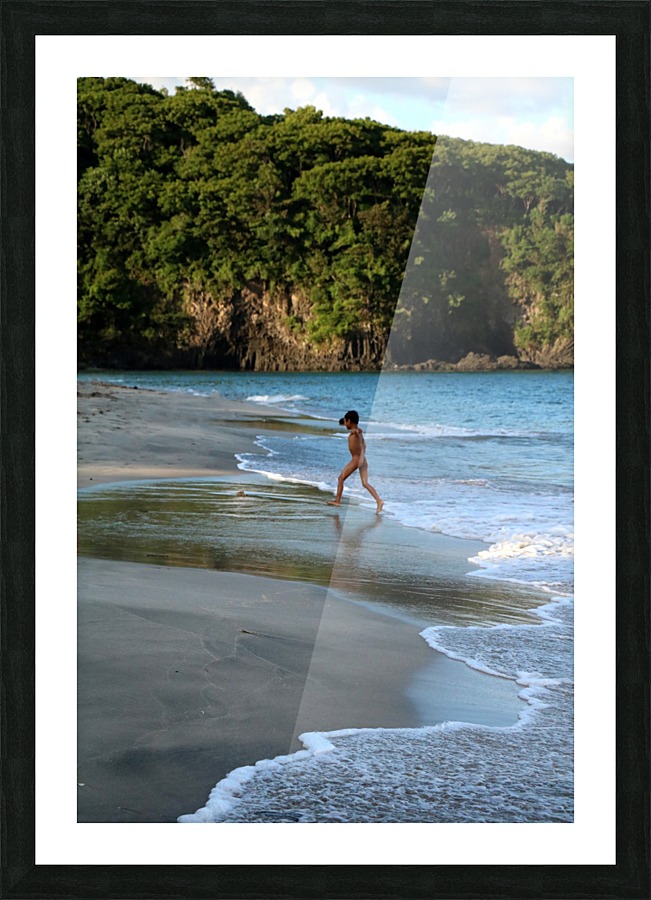 Freedom Picture Frame print
