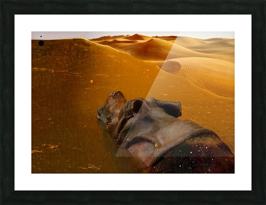 kənˈsistənsē Picture Frame print
