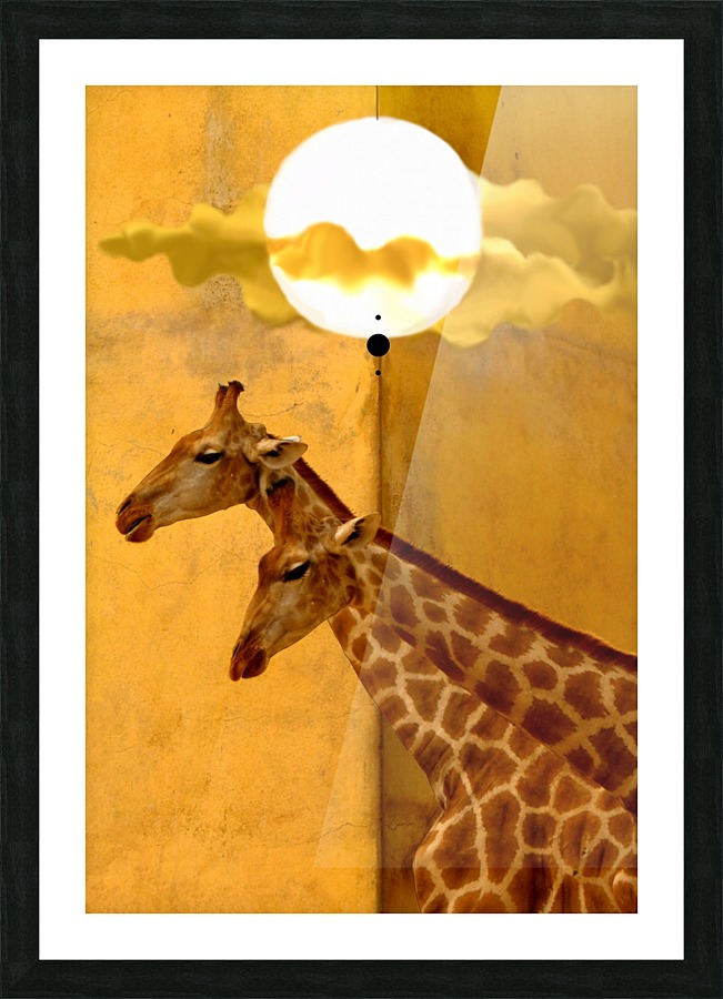 two-headed jəˈraf Picture Frame print