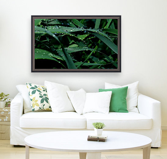 keep it green Reproduction