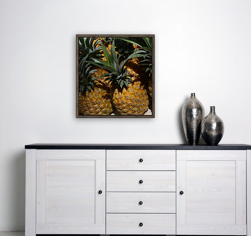 Tropic Reproduction