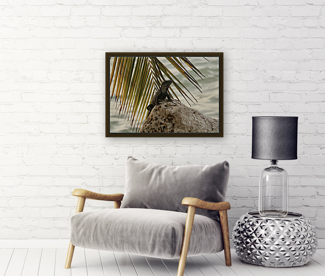 Trip in Mexico Reproduction
