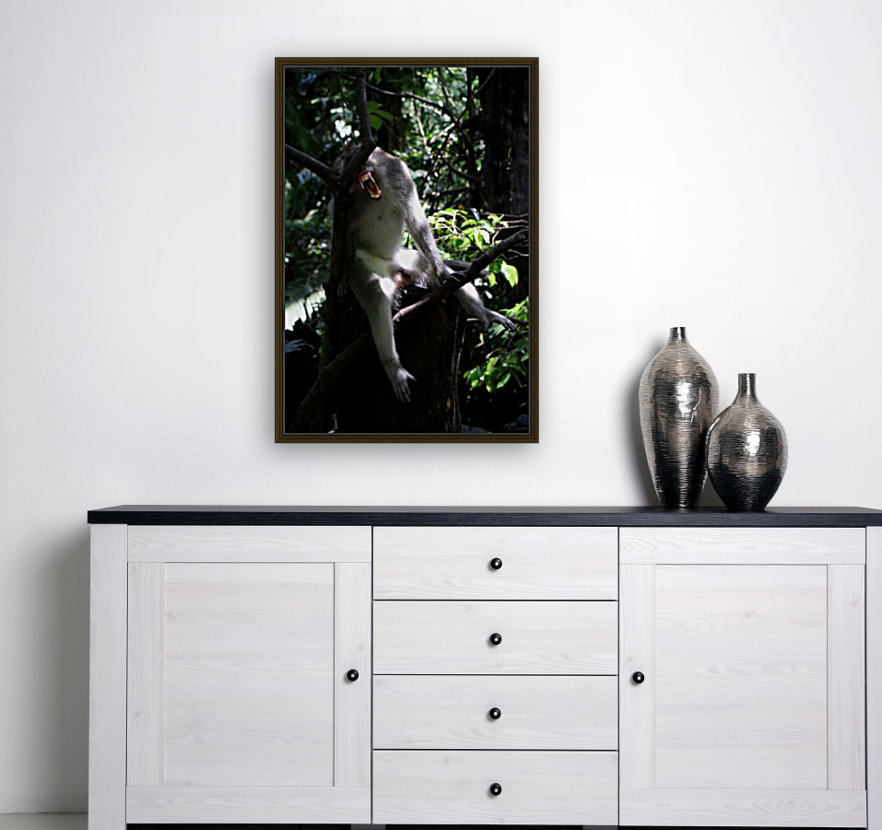 Monkey Forest Reproduction