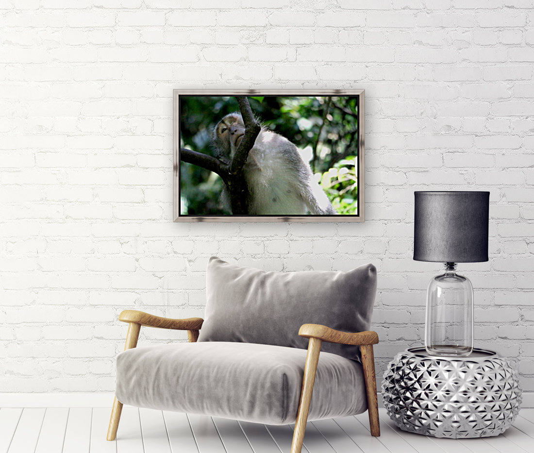 Monkey Forest Reproduction