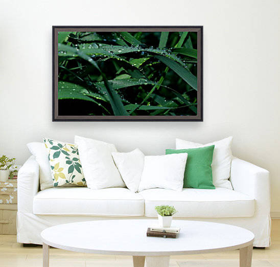 keep it green Reproduction