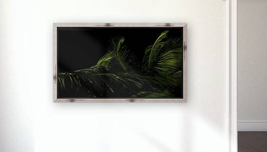 keep it green Reproduction
