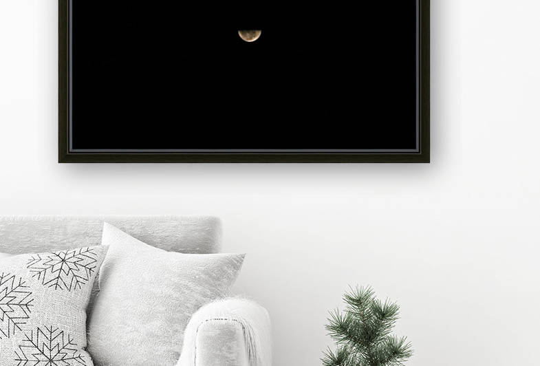 Luna Reproduction