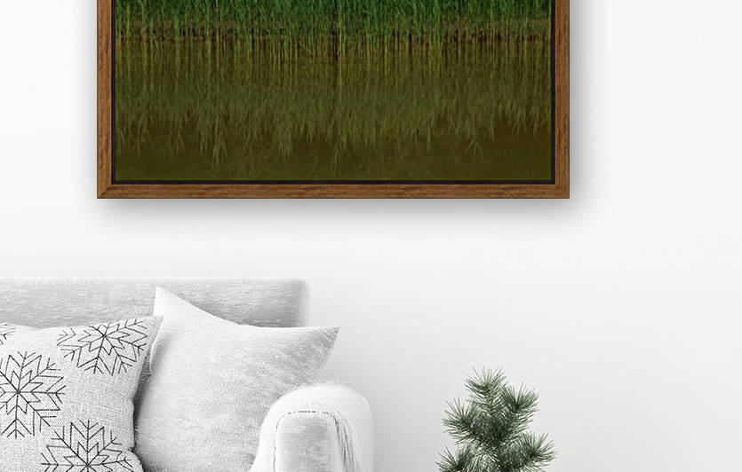 keep it green Reproduction