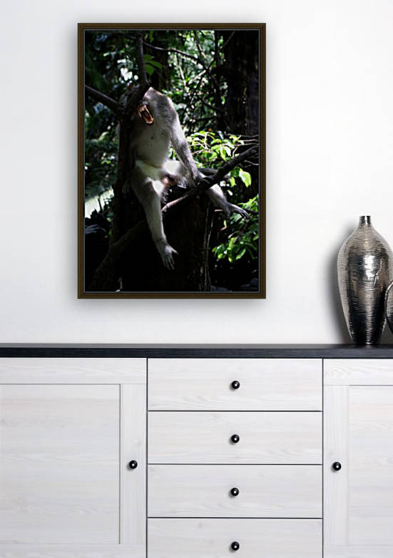 Monkey Forest Reproduction
