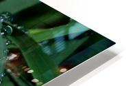 keep it green HD Metal print