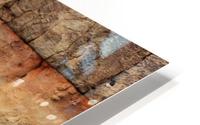 Tripin HD Metal print