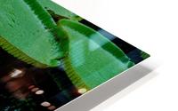Lotus HD Metal print