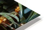 Tropic HD Metal print