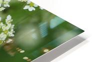 keep it green HD Metal print