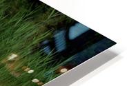 keep it green HD Metal print