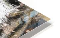 tiger HD Metal print
